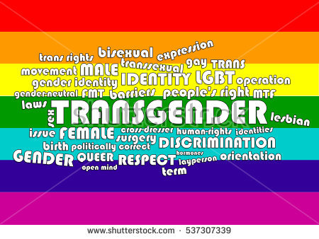 stock-photo-word-cloud-made-of-words-regarding-trans-gender-topics-on-rainbow-colors-flag-537307339
